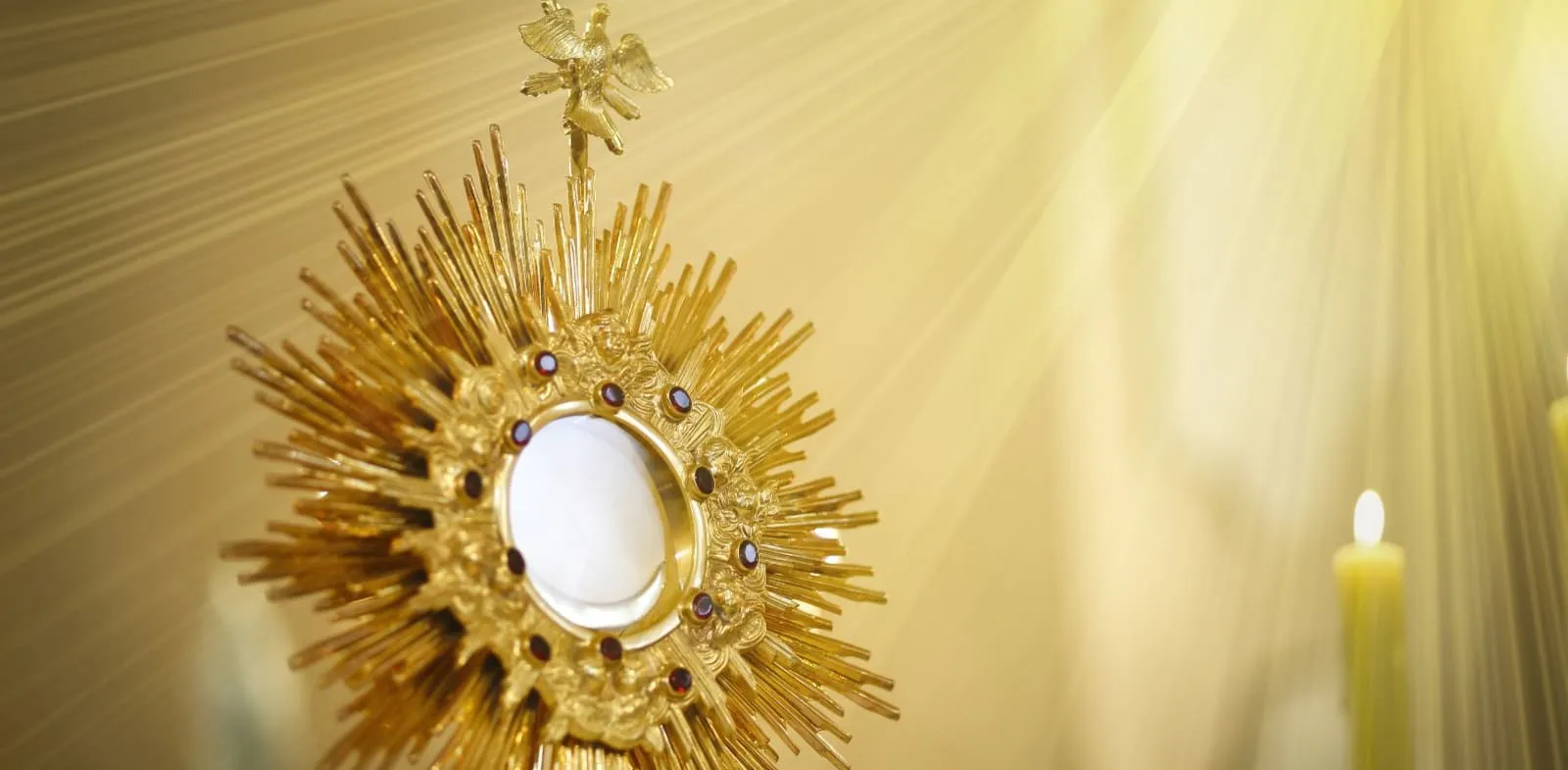 First Holy Communion — St. Philip Neri Catholic Church